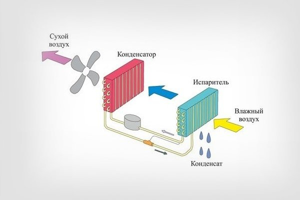 Как работают осушители воздуха для бассейна? Советы по выбору