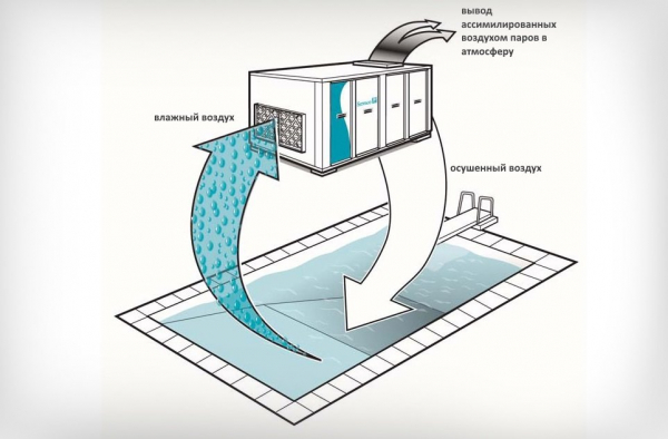 Как работают осушители воздуха для бассейна? Советы по выбору